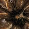 Hello Honey® 5" Multicolor Rustic Glaze Stoneware Flower Plate, 12ct.